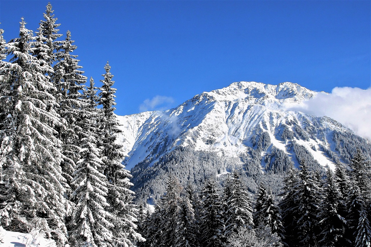 Image - sky blue snow covered trees