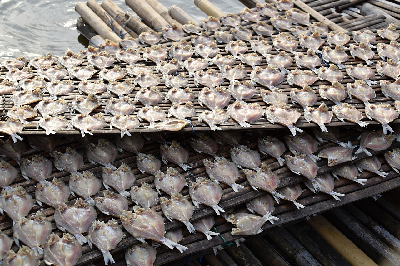 Image - fish more dried fish indonesia