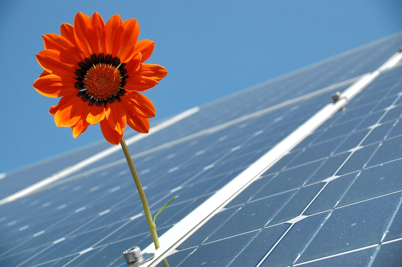 Image - solar photovoltaic renewable
