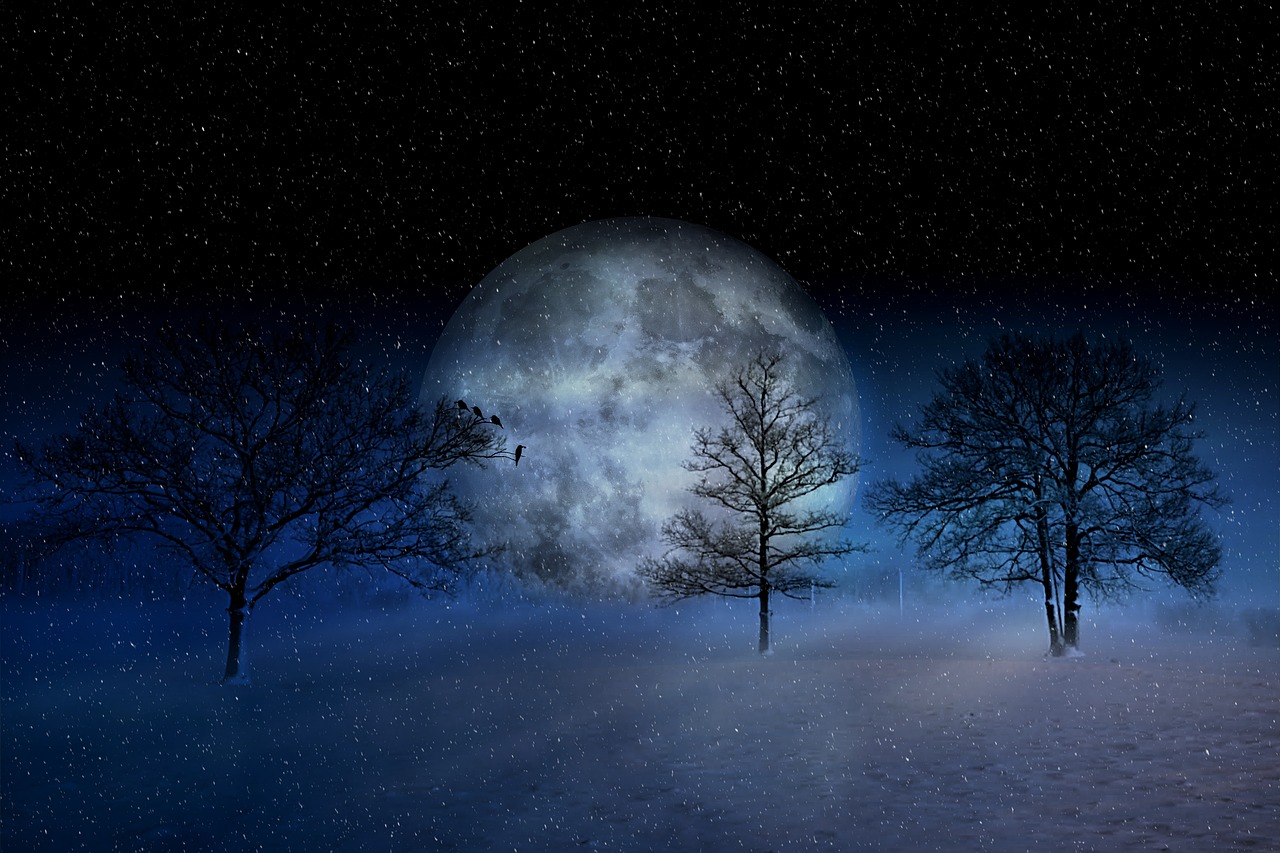 Image - winter wintry moon christmas snow