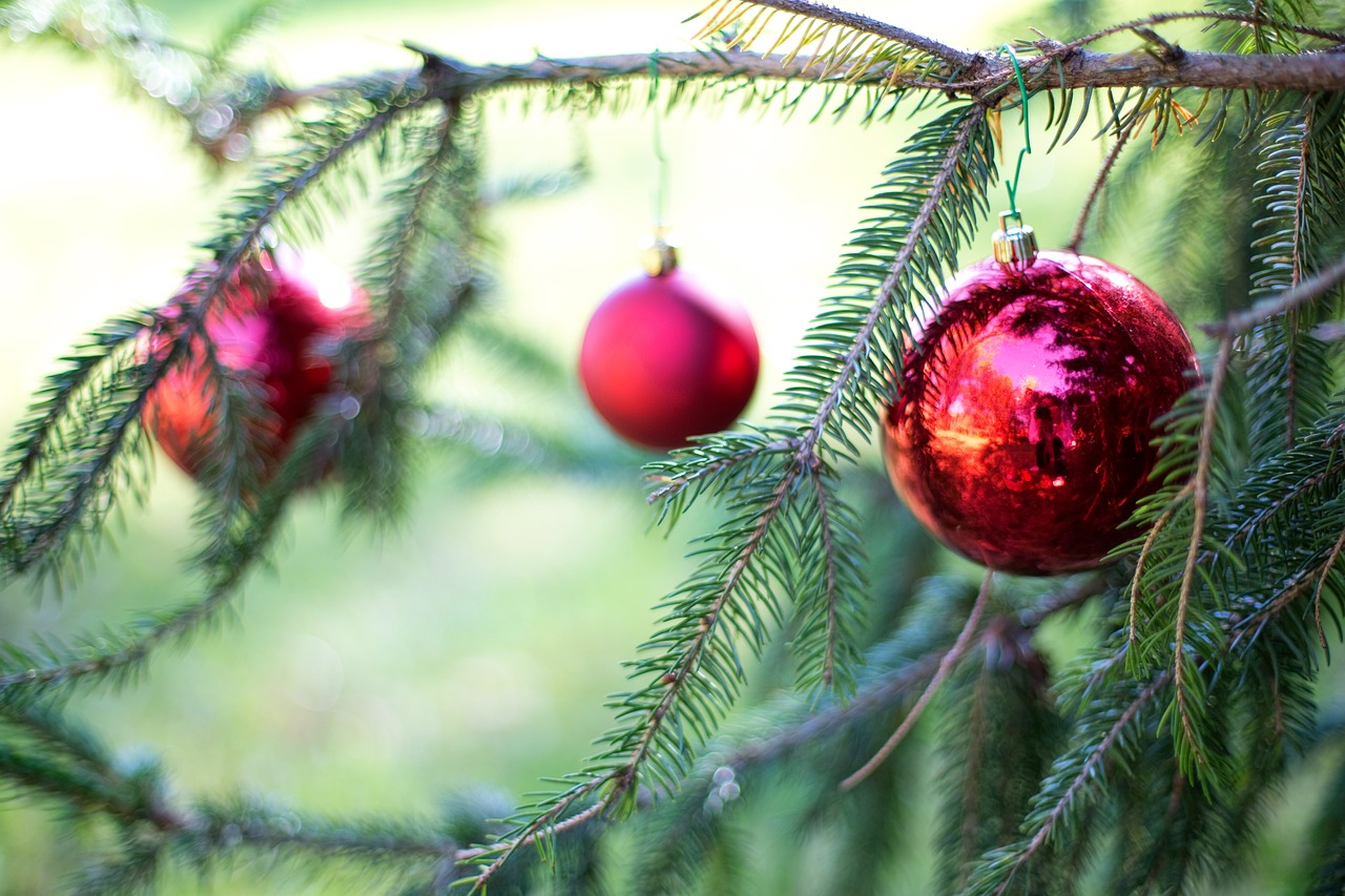 Image - christmas bulbs red pine tree