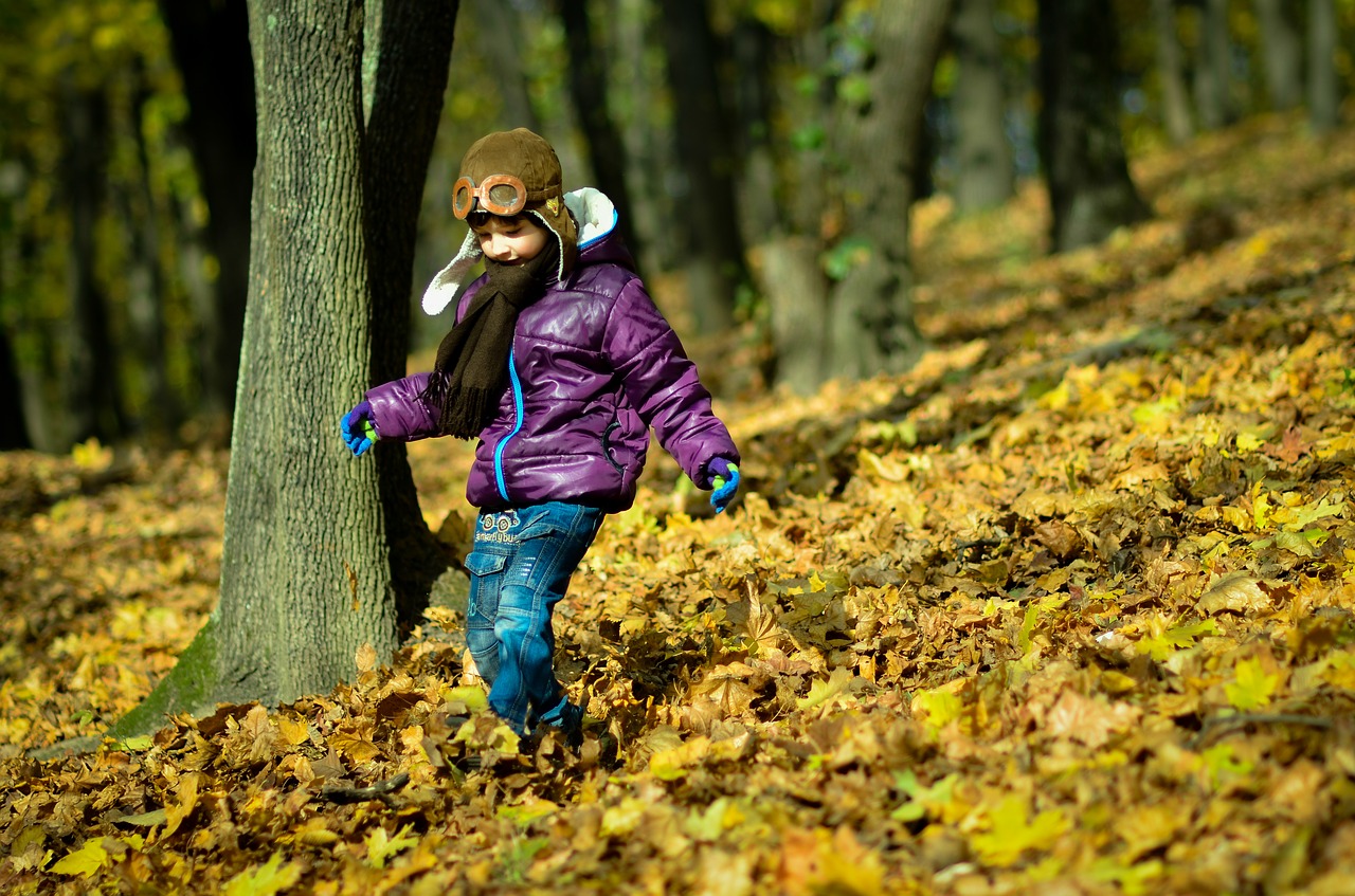 Image - boy autumn park photo leaves