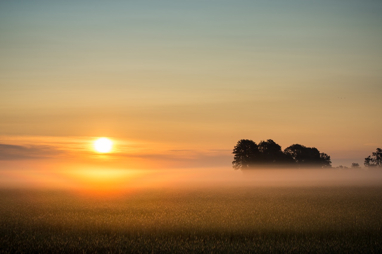 Image - sunrise fog fog bank landscape