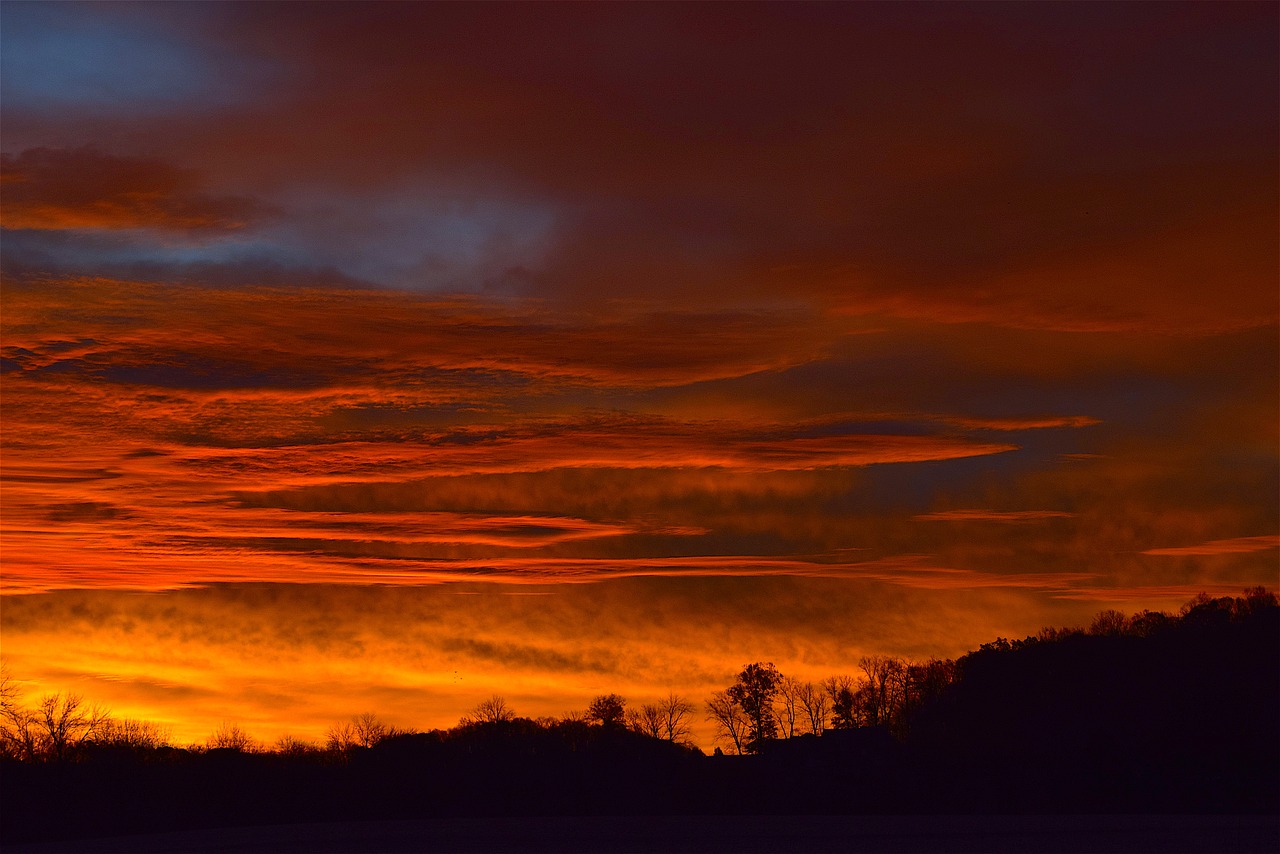 Image - sunrise sky silhouette trees
