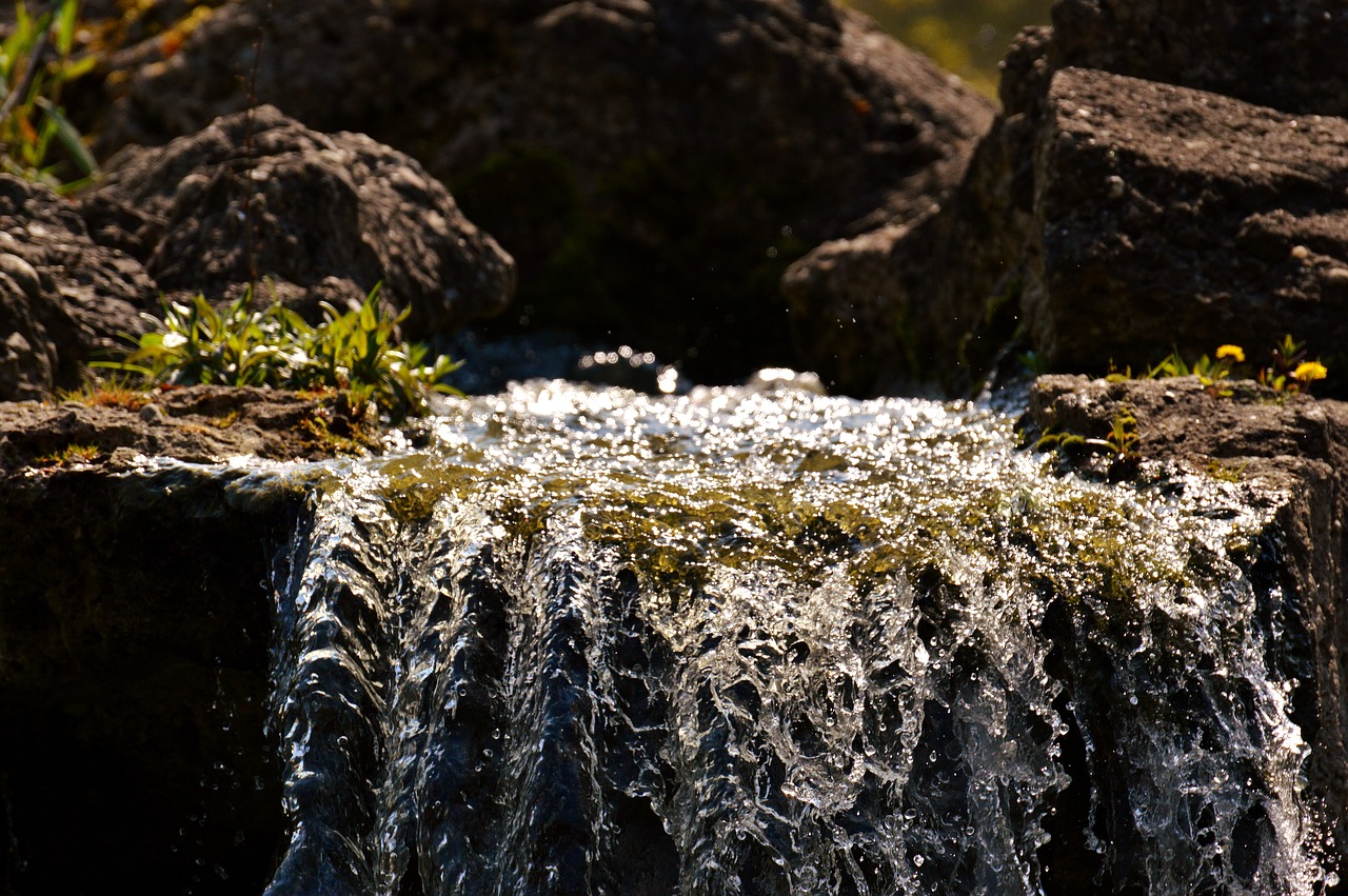 Image - water bach nature forest moss