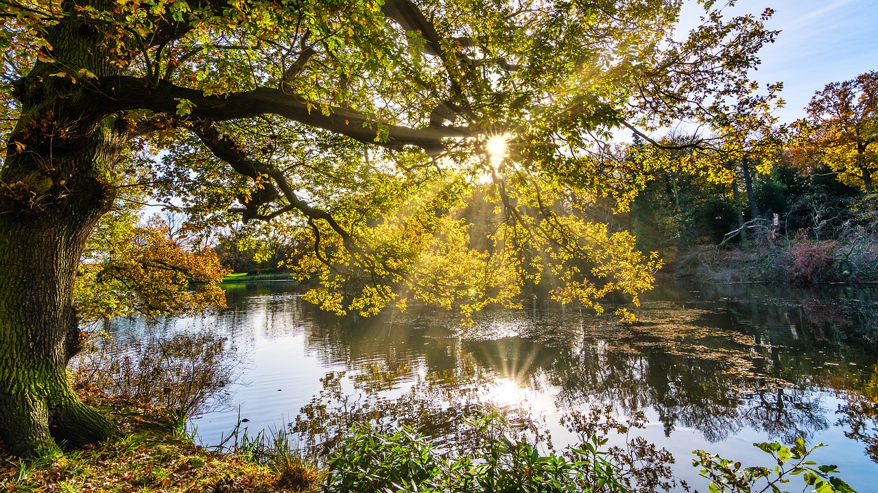 Image - autumn lake sunrays radiance