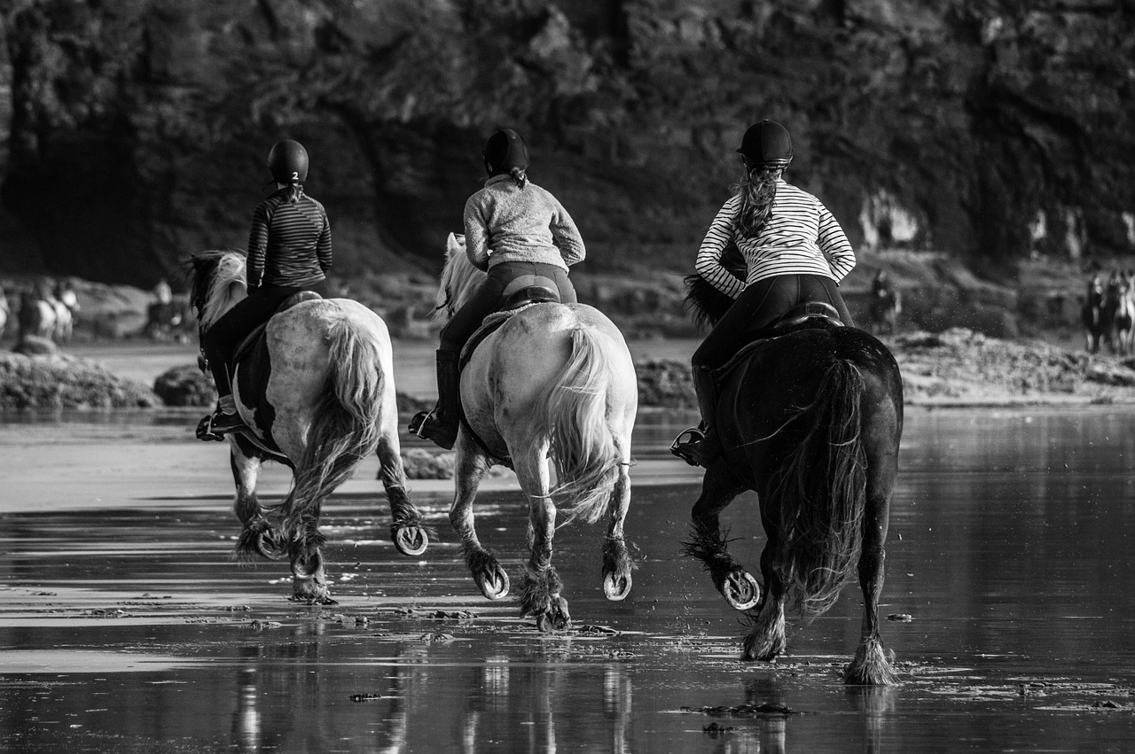 Image - horse races running