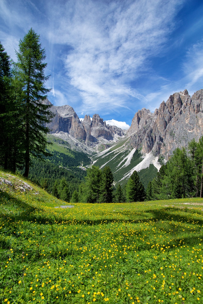 Image - mountain alps italy flowers