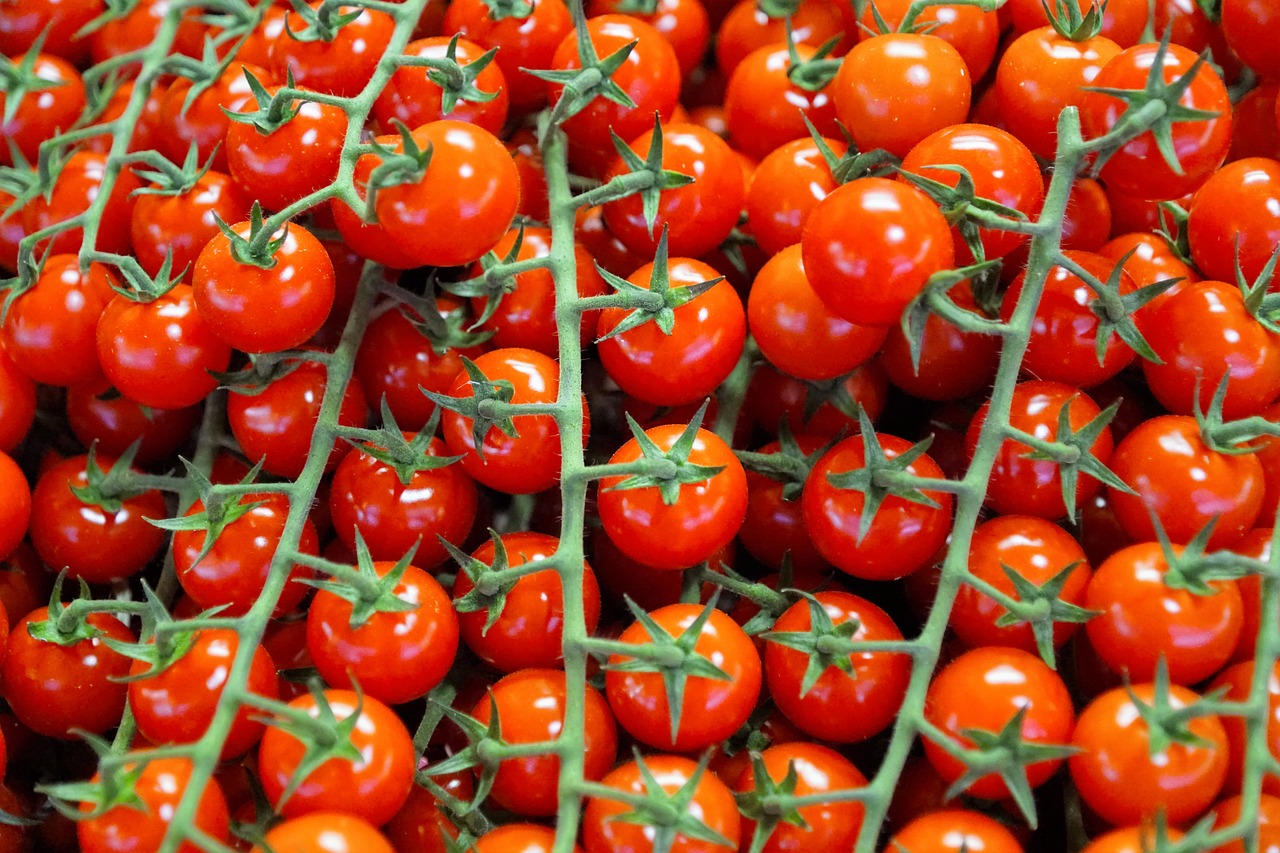 Image - tomatoes eat food vegan bio