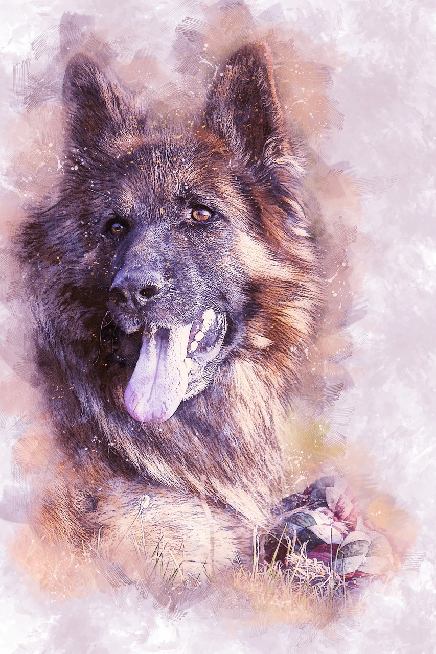 Image - dog german shepherd animal meadow