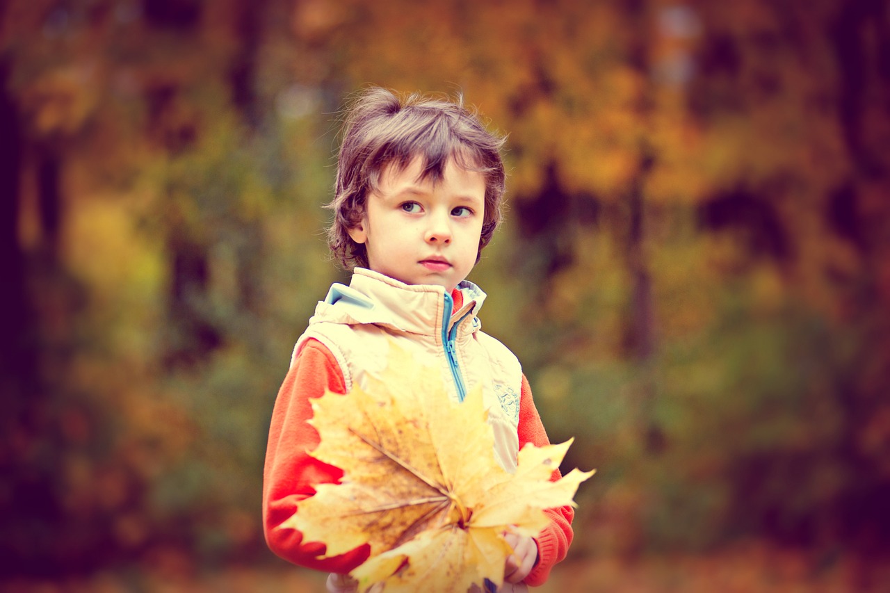 Image - park autumn autumn park boy baby