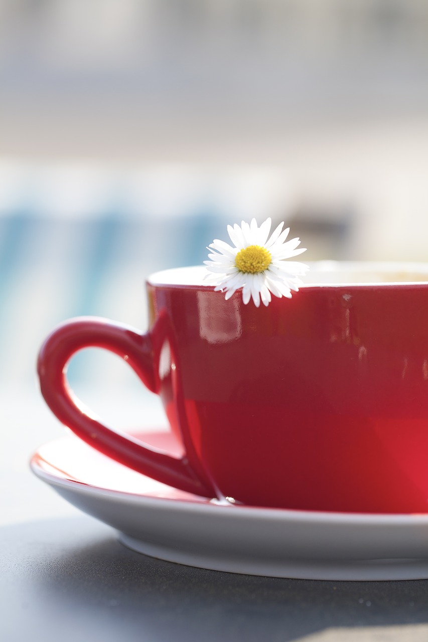 Image - cup tee margarite flower coffee