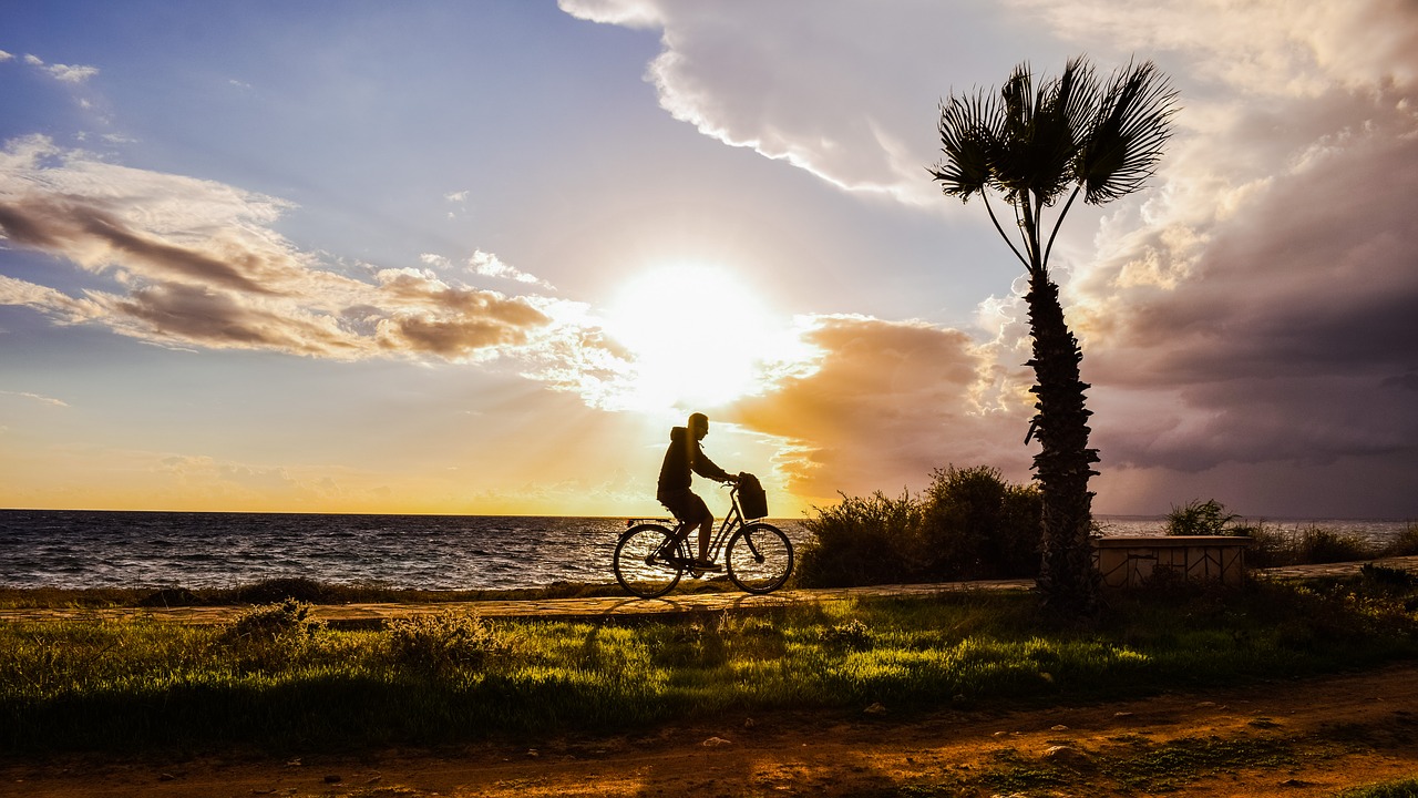 Image - afternoon landscape scenery path