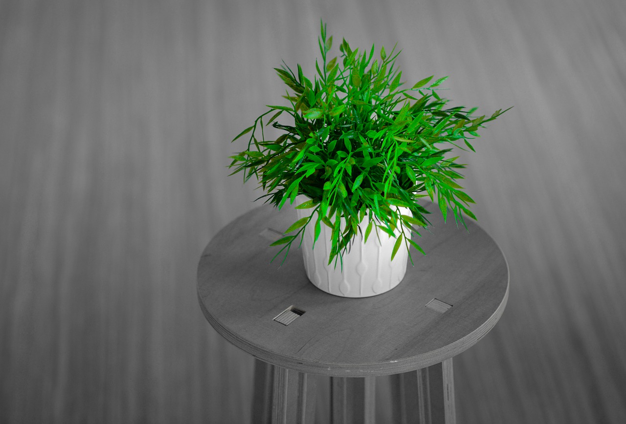 Image - plant room green home modern