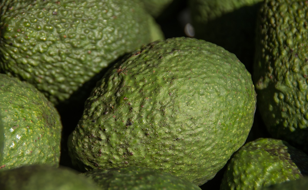 Image - hass avocado avocados fruit green