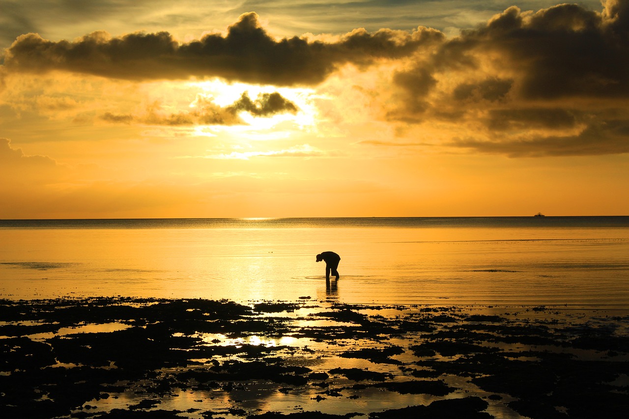 Image - sunset beach kei islands indonesian