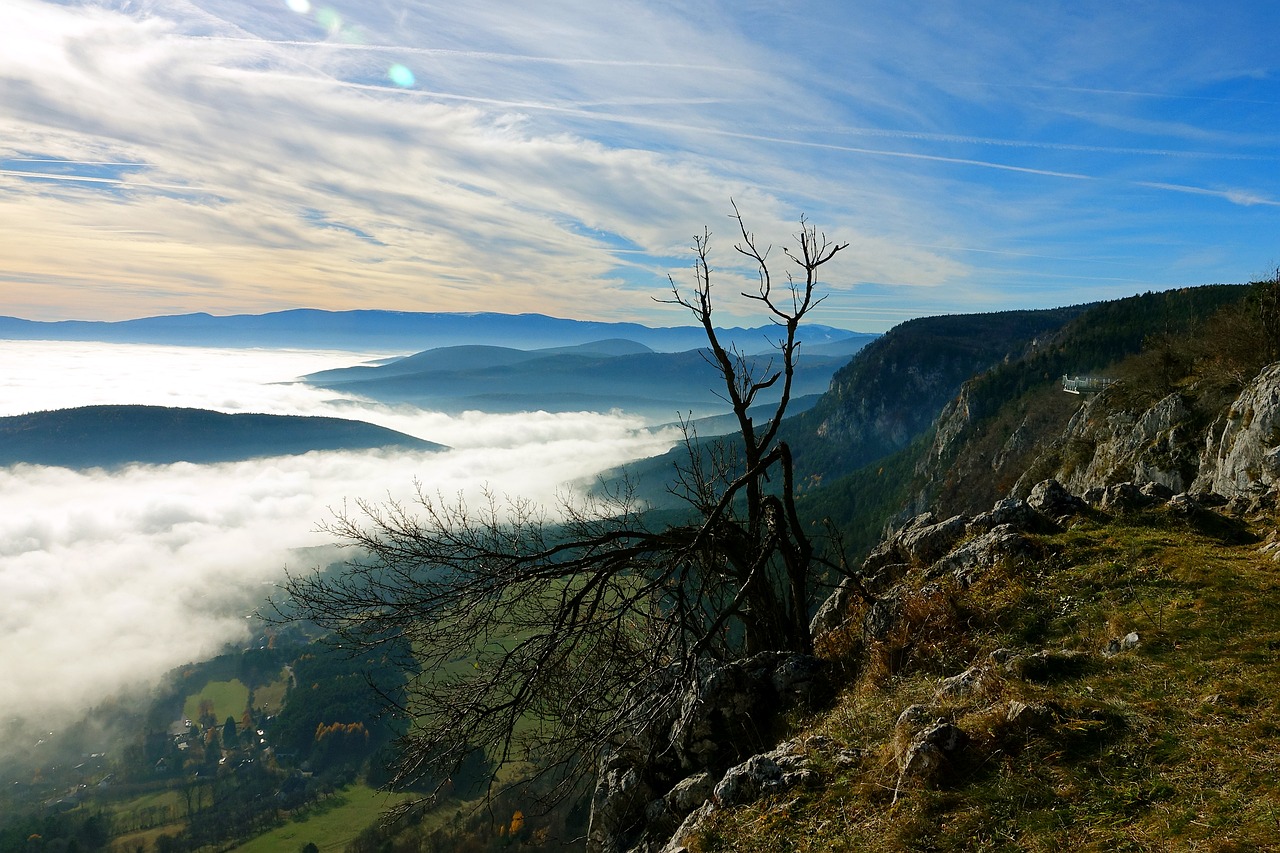 Tom mountain. Гора Баринг.