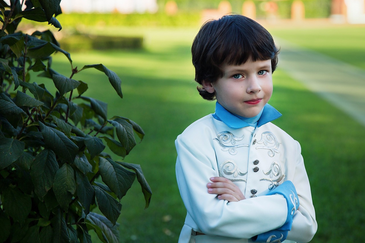 Image - prince boy costume childhood story