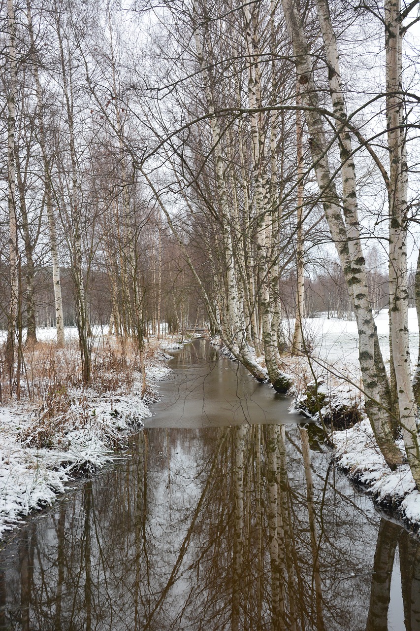 Image - nature winter birch river cold