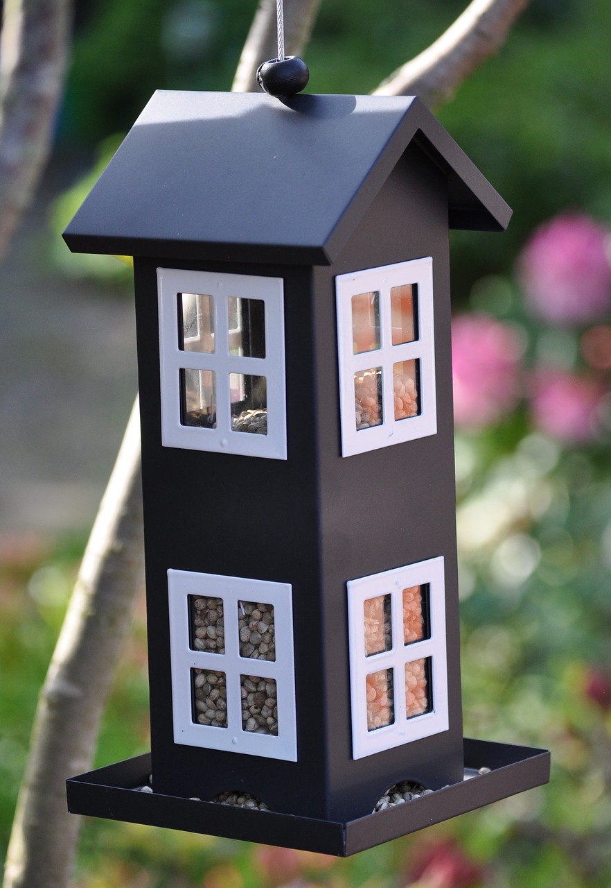 Image - bird food foderhus bird feed have