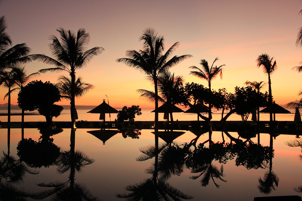 Image - bali palm trees sunset travel