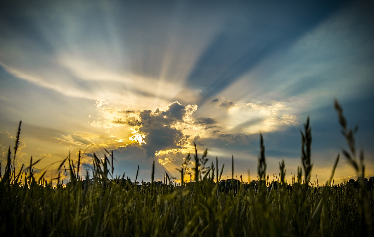 Image - cloud sun sky evening sky sunbeam