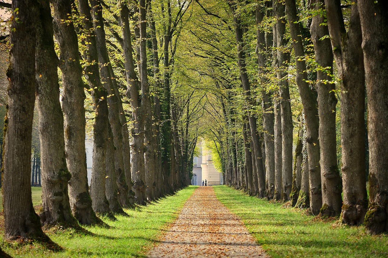 Image - avenue away chiemsee walk