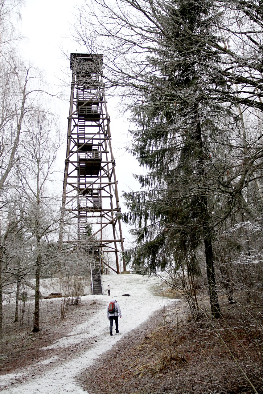 Image - winter snow cold forest up man
