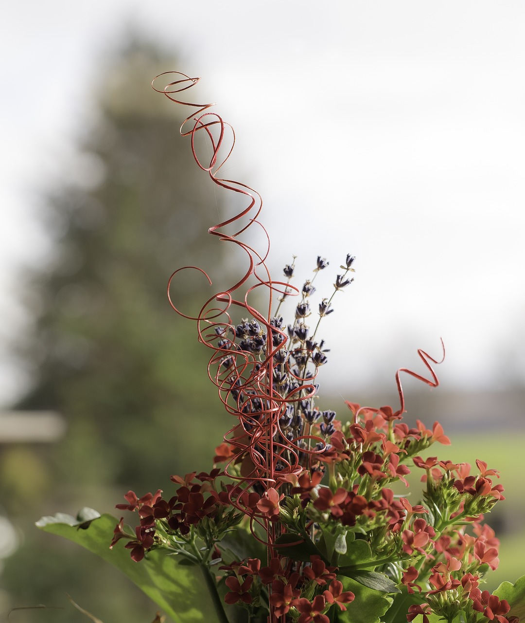 Image - leaves flowerpot editorial