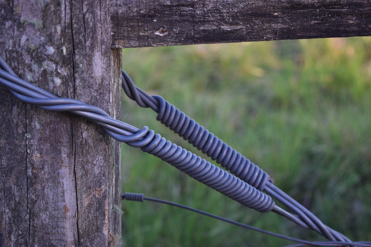 Image - portress wire field