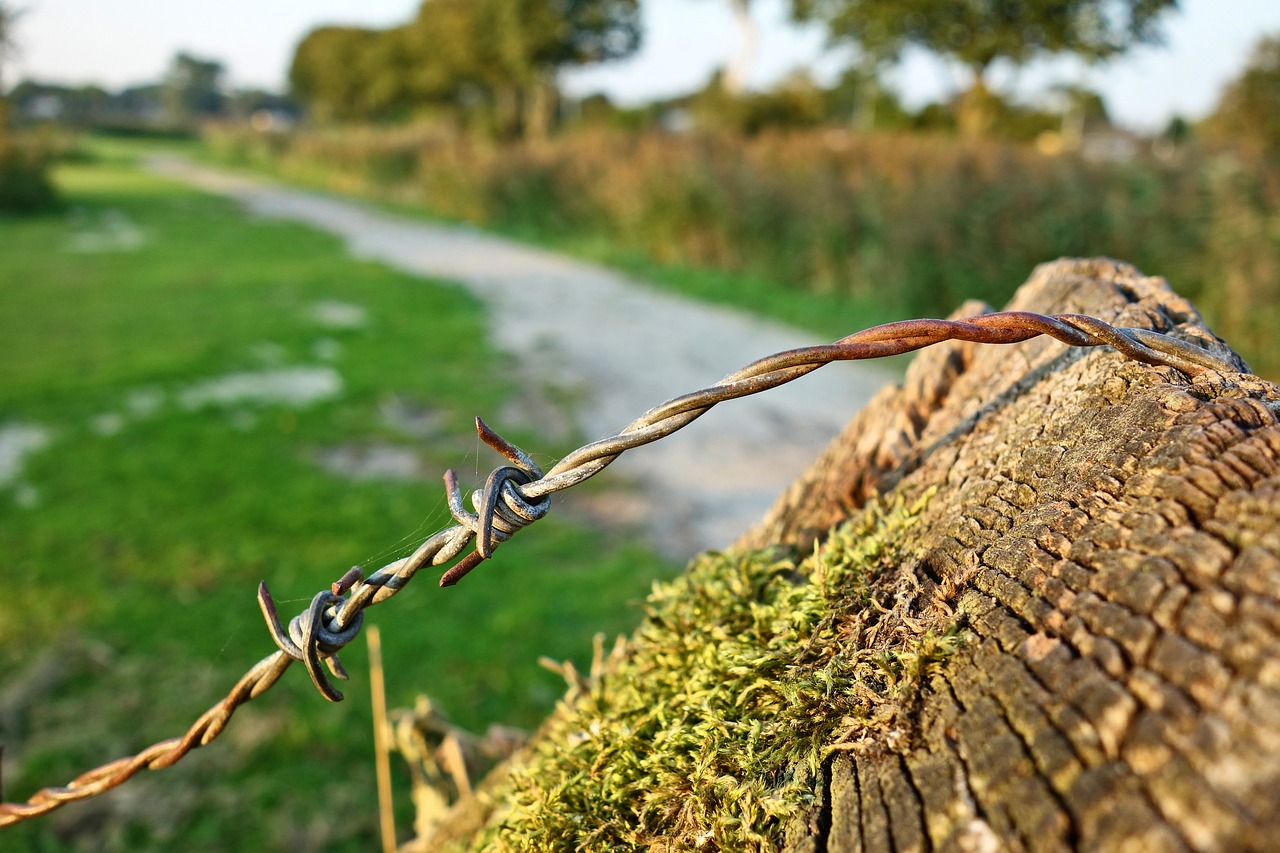 Image - barbed wire wire steel fence post