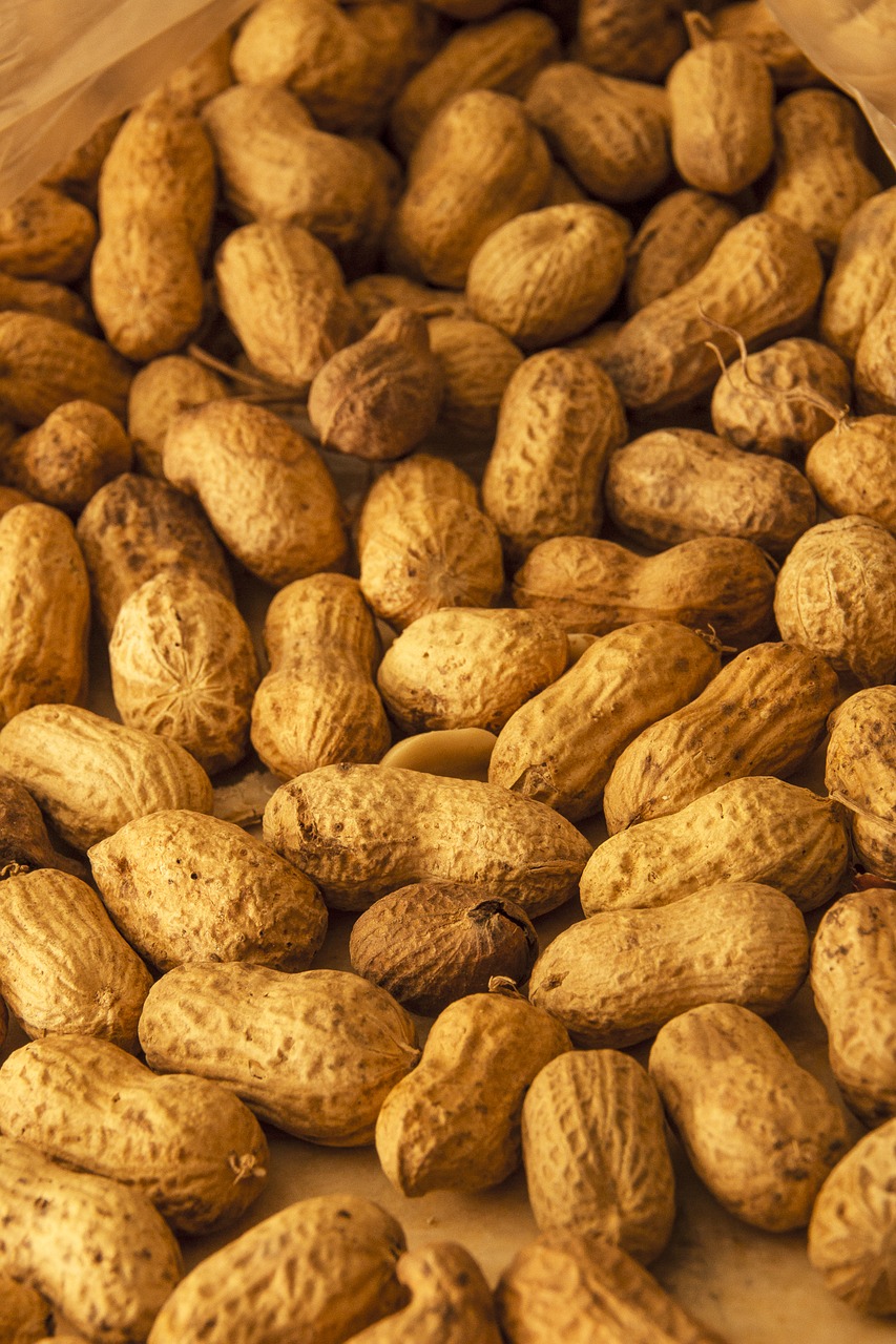 Image - peanut peanuts dried fruit doré