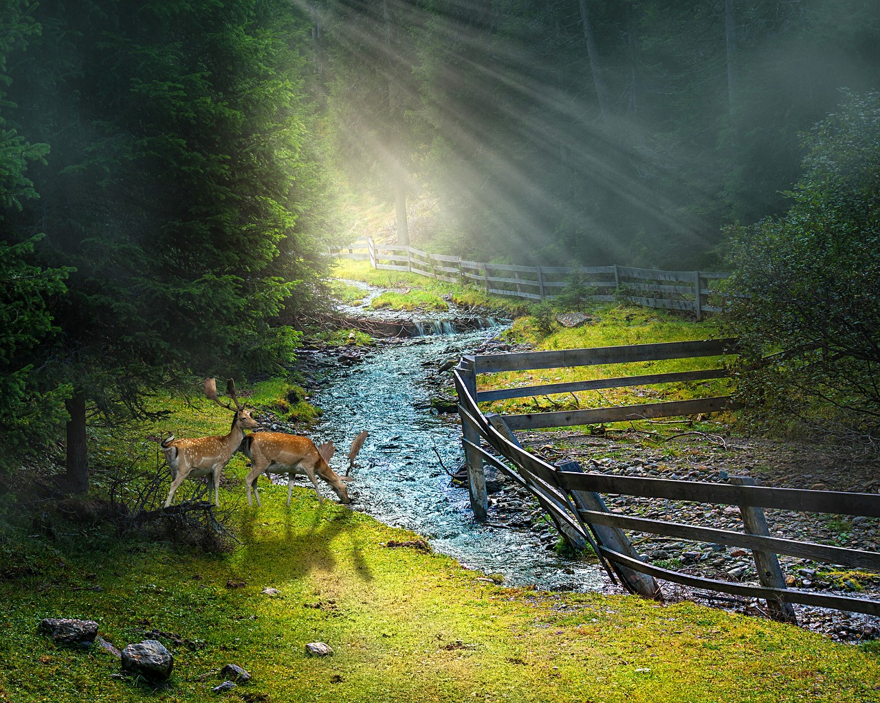 Image - nature landscape water