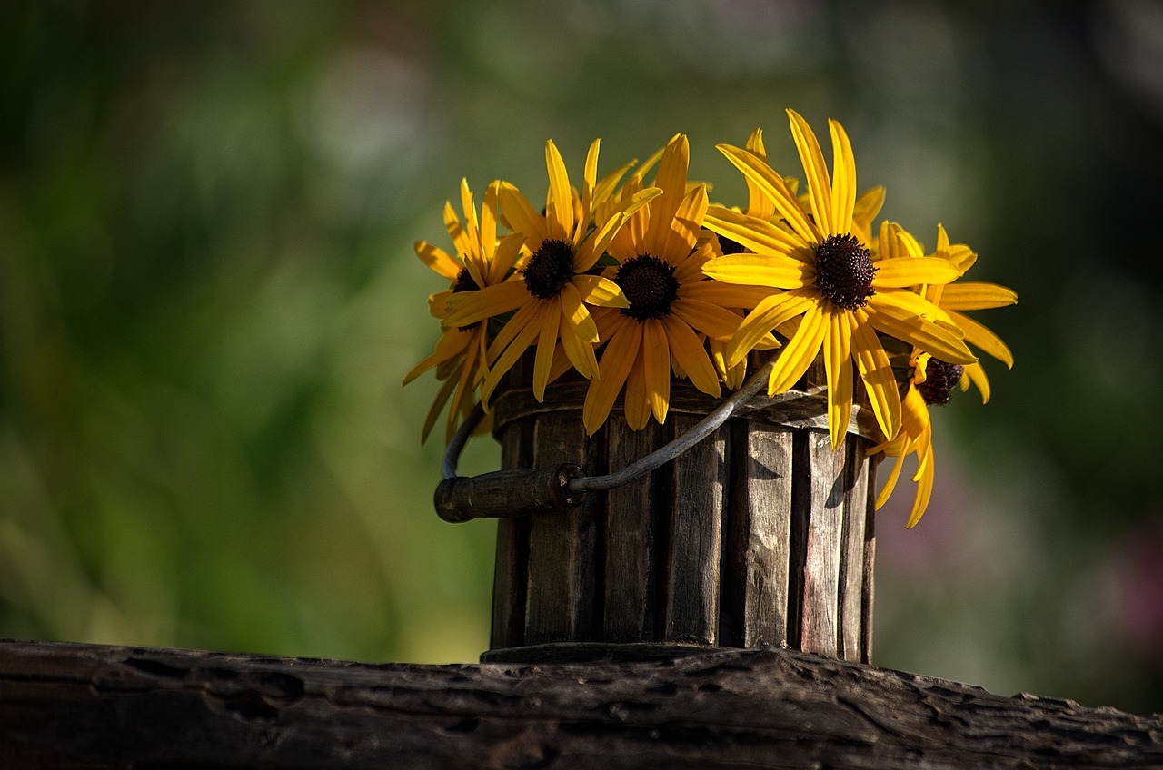 Image - flower pot pots plant flowerpot