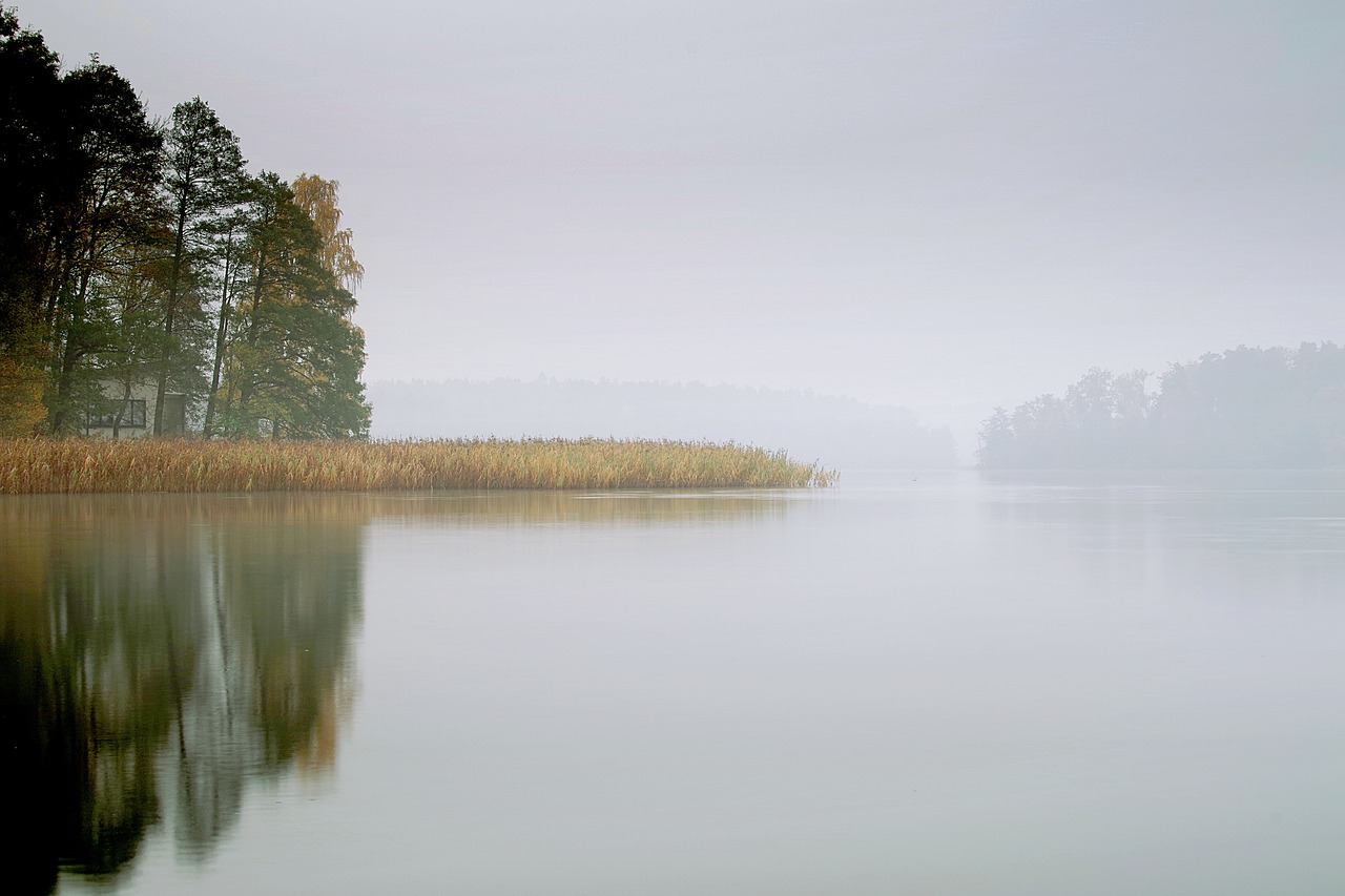 Image - lake the fog pond water morning