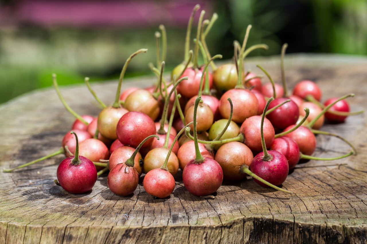 Image - cherry fruit fresh food berry