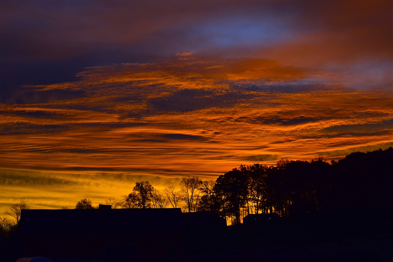 Image - sunrise sky silhouette trees