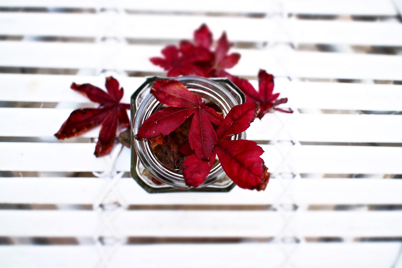 Image - leaves maple leaves jar