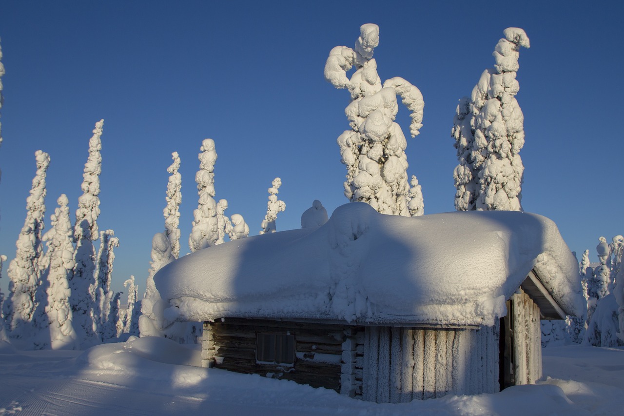 Image - lapland winter snow wintry finland