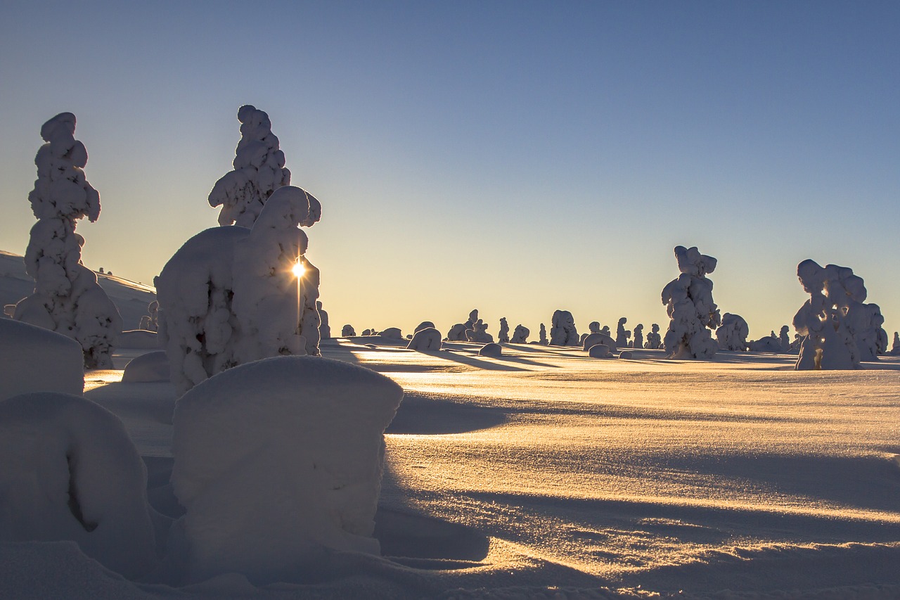 Image - lapland winter snow landscape