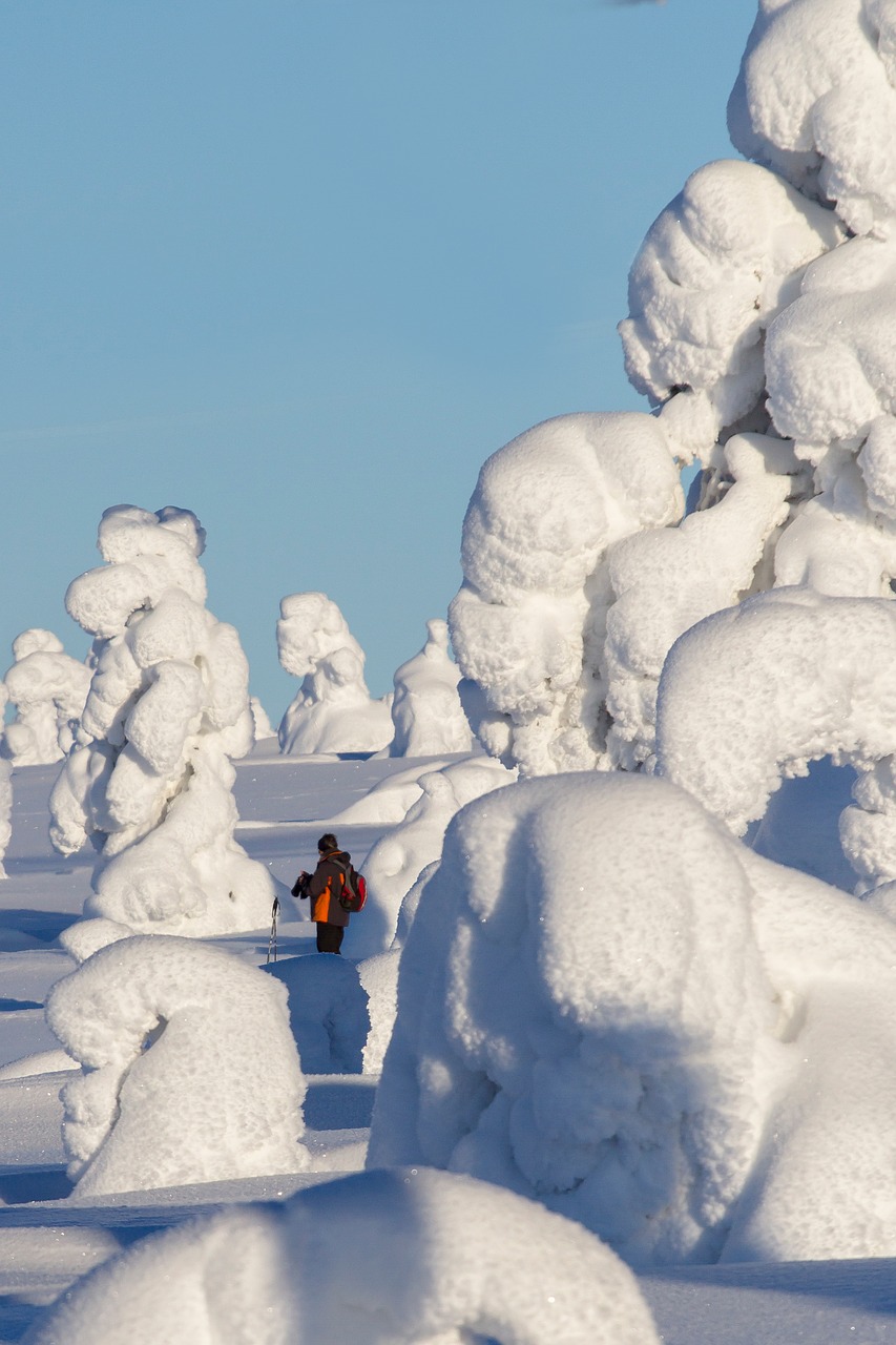 Image - lapland winter snow wintry finland