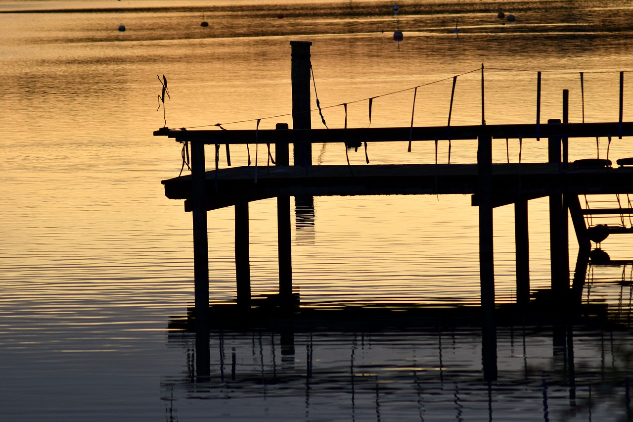 Image - web water lake nature boardwalk