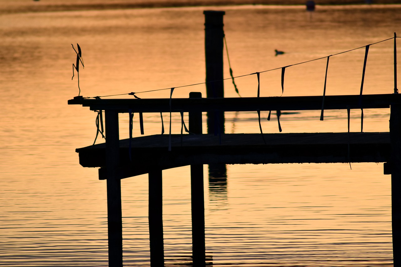 Image - web water lake nature boardwalk