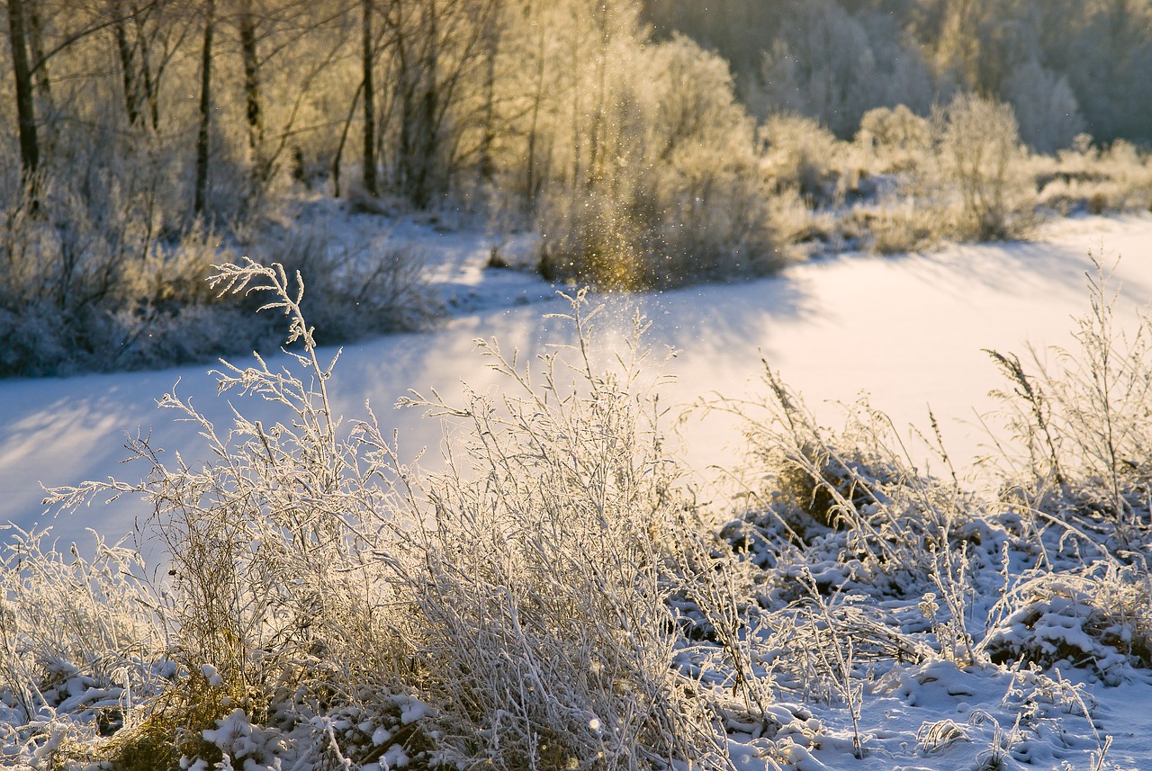 Image - lake morning november winter