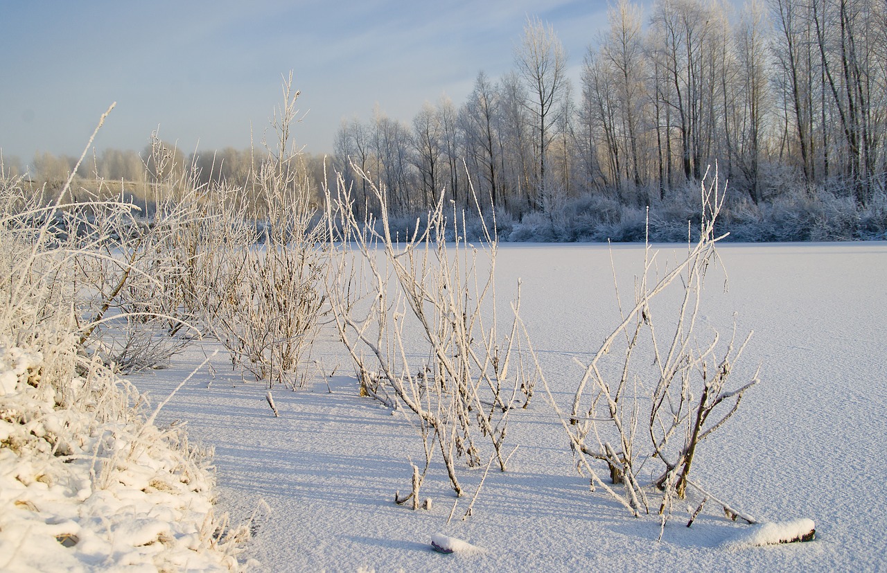 Image - lake morning november winter