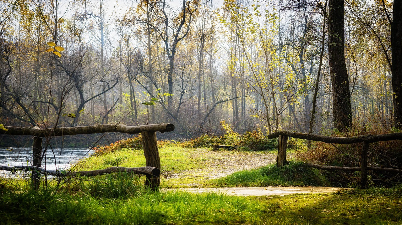 Image - autumn bridge river mur landscape