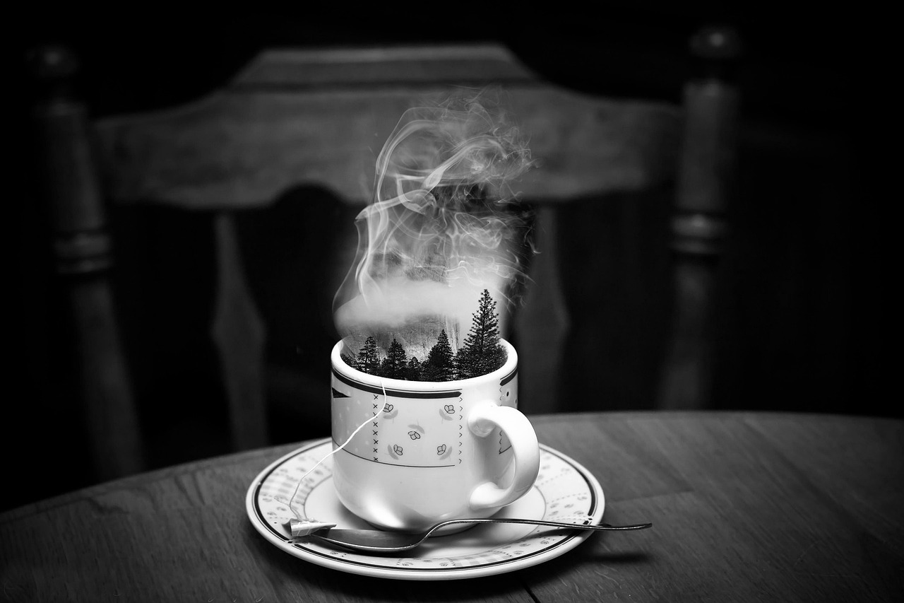 Image - cup steam forest mist fog coffee