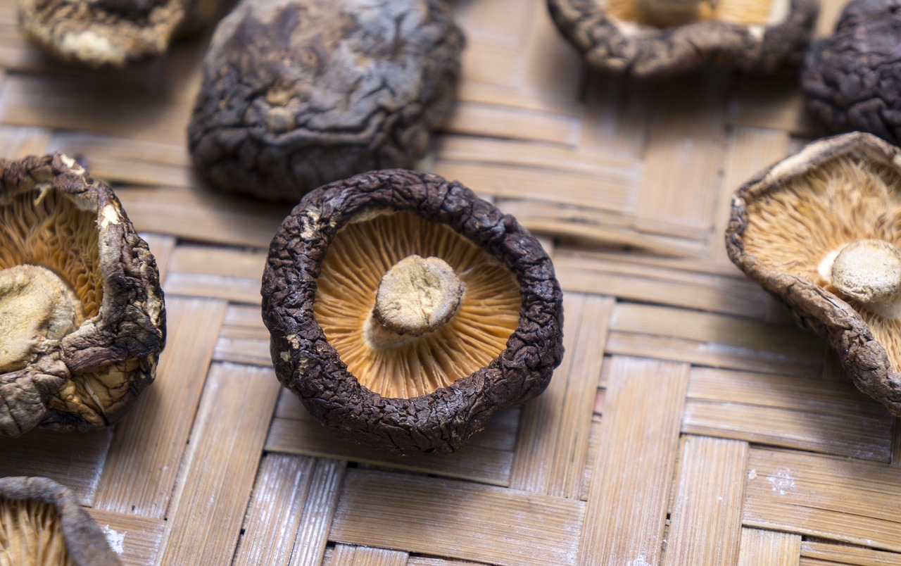 Image - food shiitake mushrooms dried
