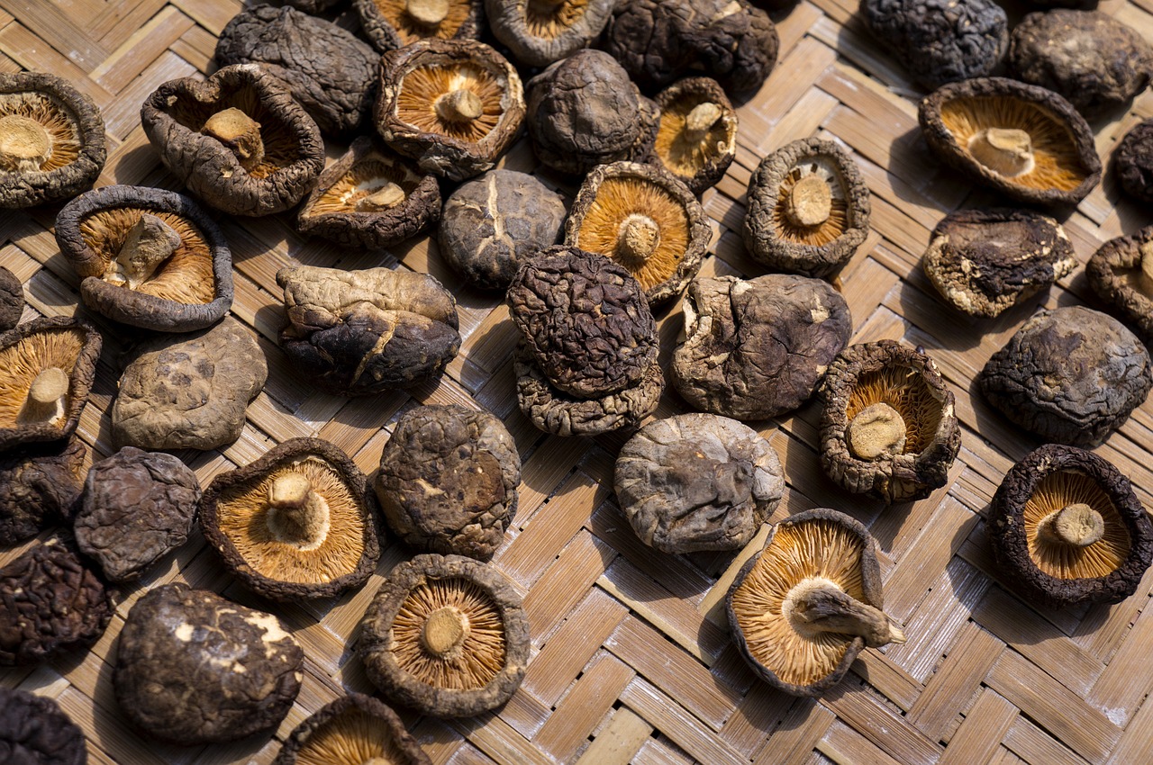 Image - food shiitake mushrooms dried