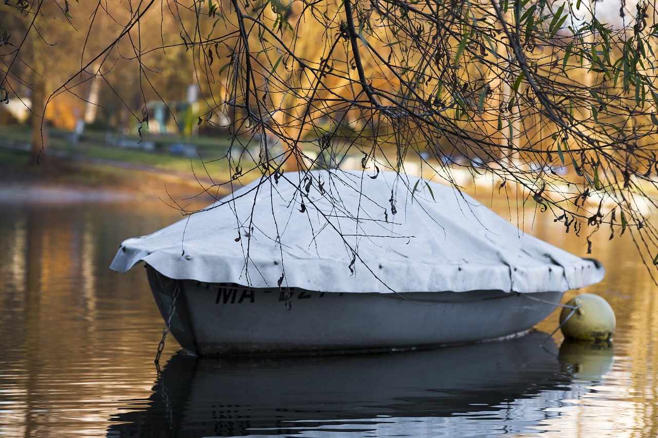 Image - tree aesthetic boot powerboat